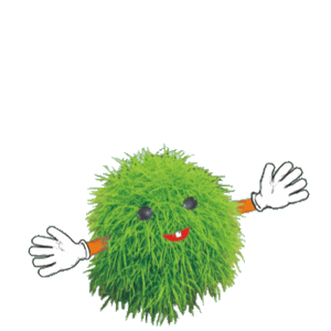 �}�h�G���A�z�[���y�[�W����A�ꏏ�ɍ��܂��傤�I